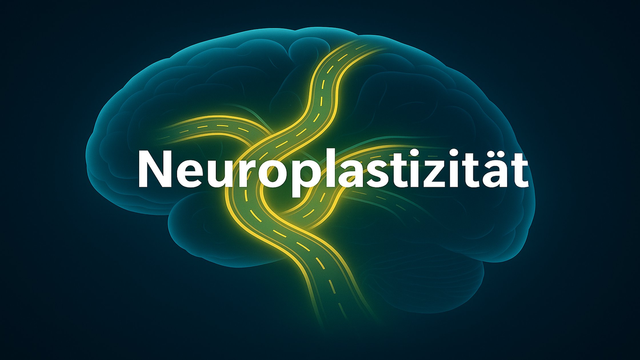 Read more about the article Was Hänschen nicht lernt … Neuroplastizität
